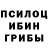 Бошки Шишки конопля I. Sadalskiy
