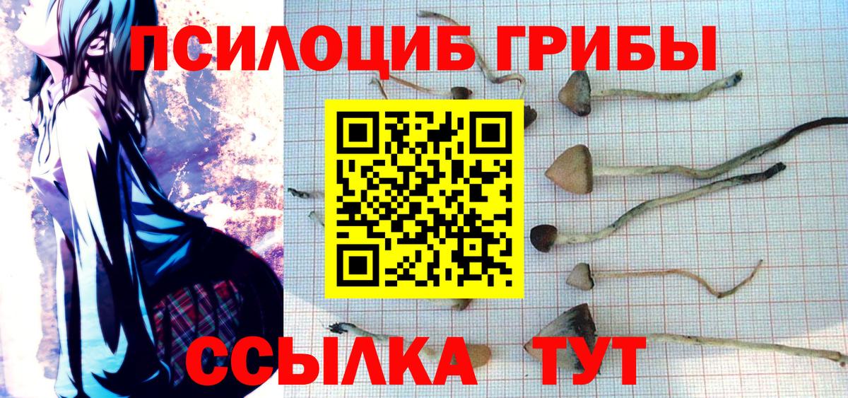 Галлюциногенные грибы Magic Shrooms Минеральные Воды