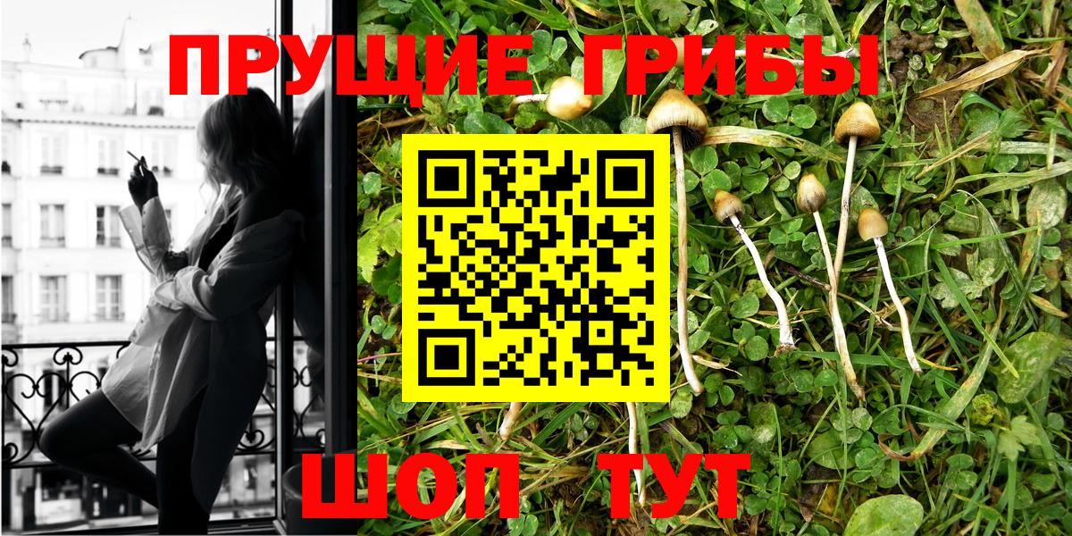 Галлюциногенные грибы Psilocybe  Вход с VPN  Минеральные Воды 